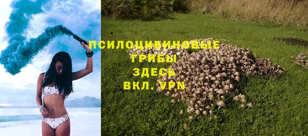 мяу мяу мука Алексин