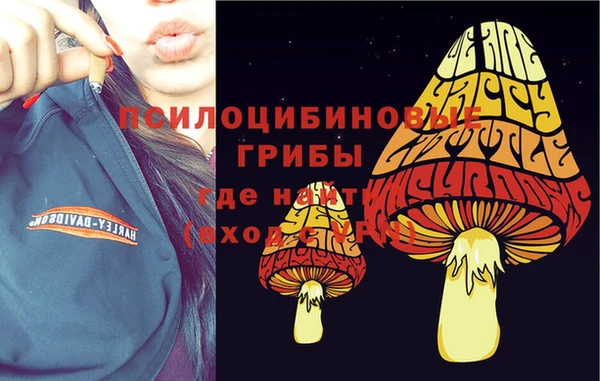 Альфа ПВП Алзамай